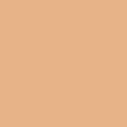 ansonia peach paint color