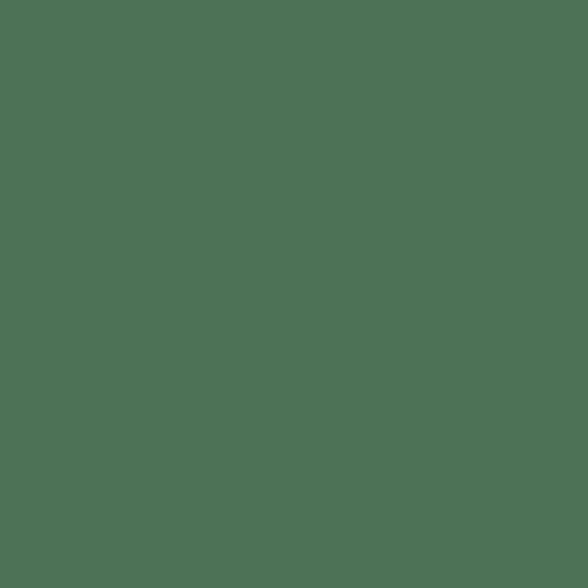 balsam paint color