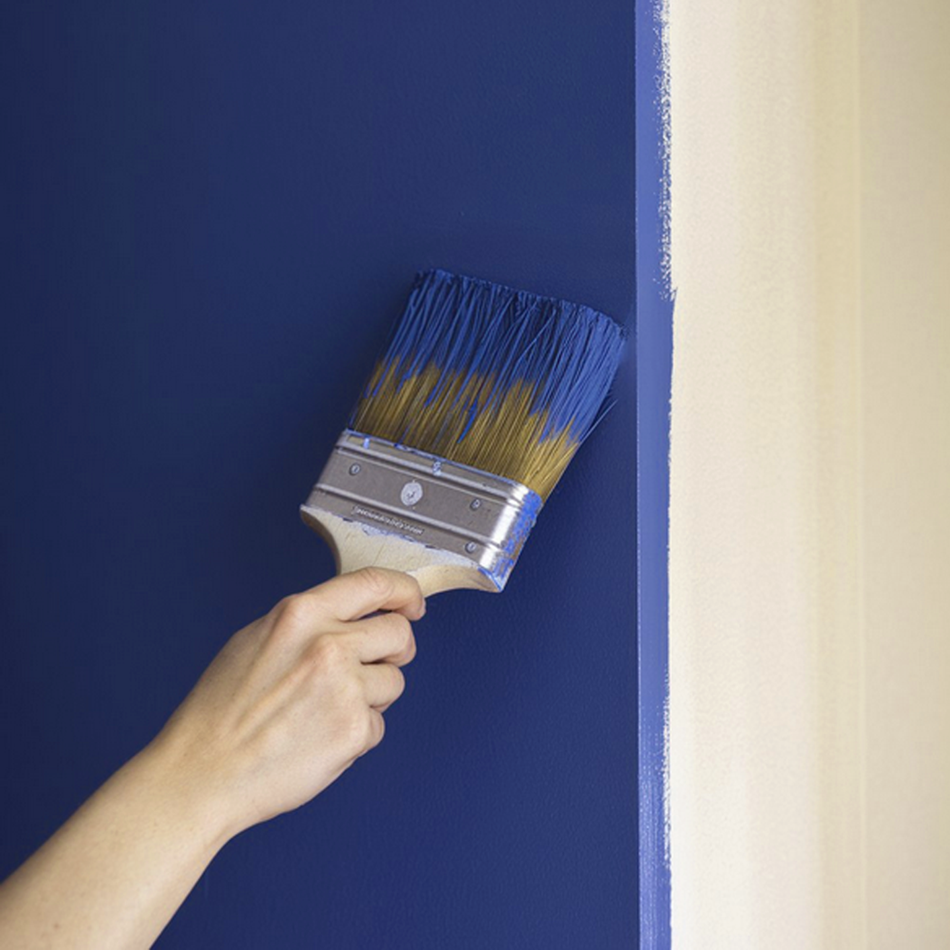 basic blue paint brush