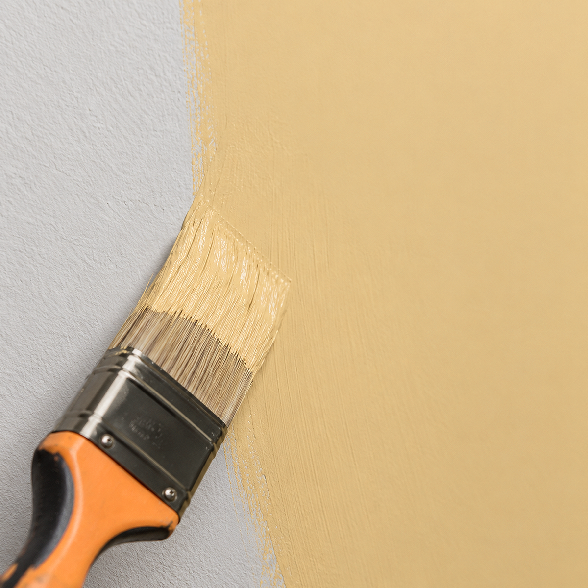 chestertown buff paint brush