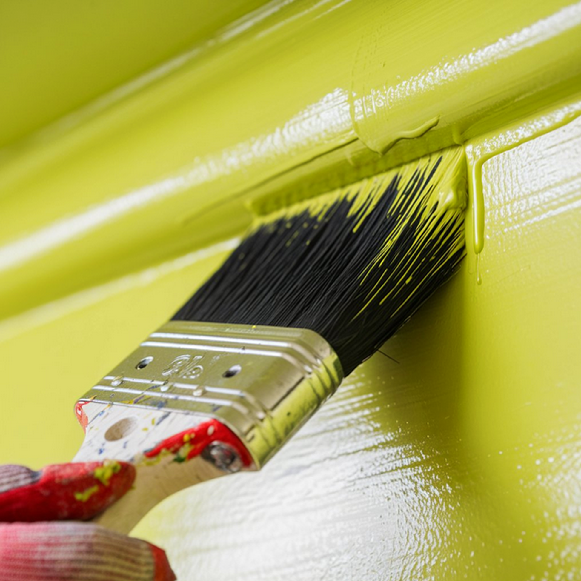 exotic lime paint brush