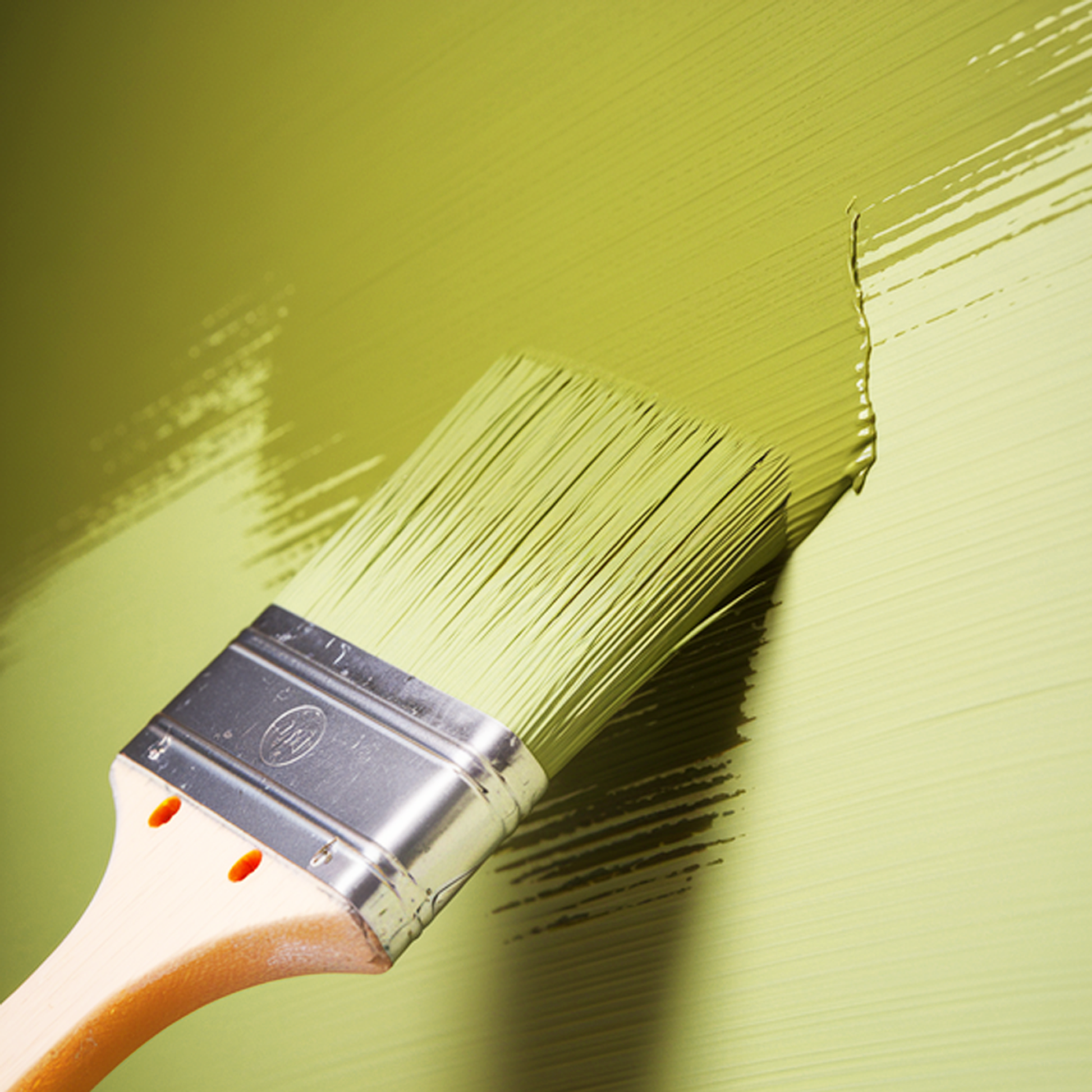 forest moss brush paint brush