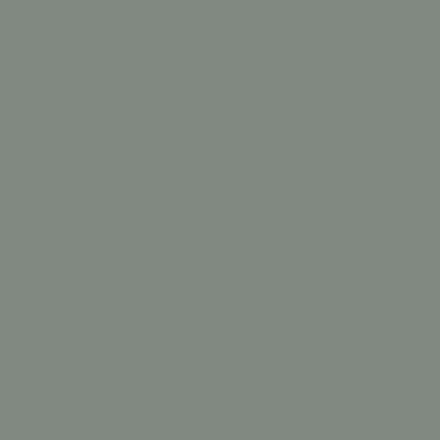 intrigue paint color