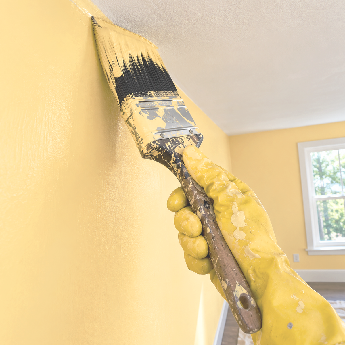 morning sunshine paint brush