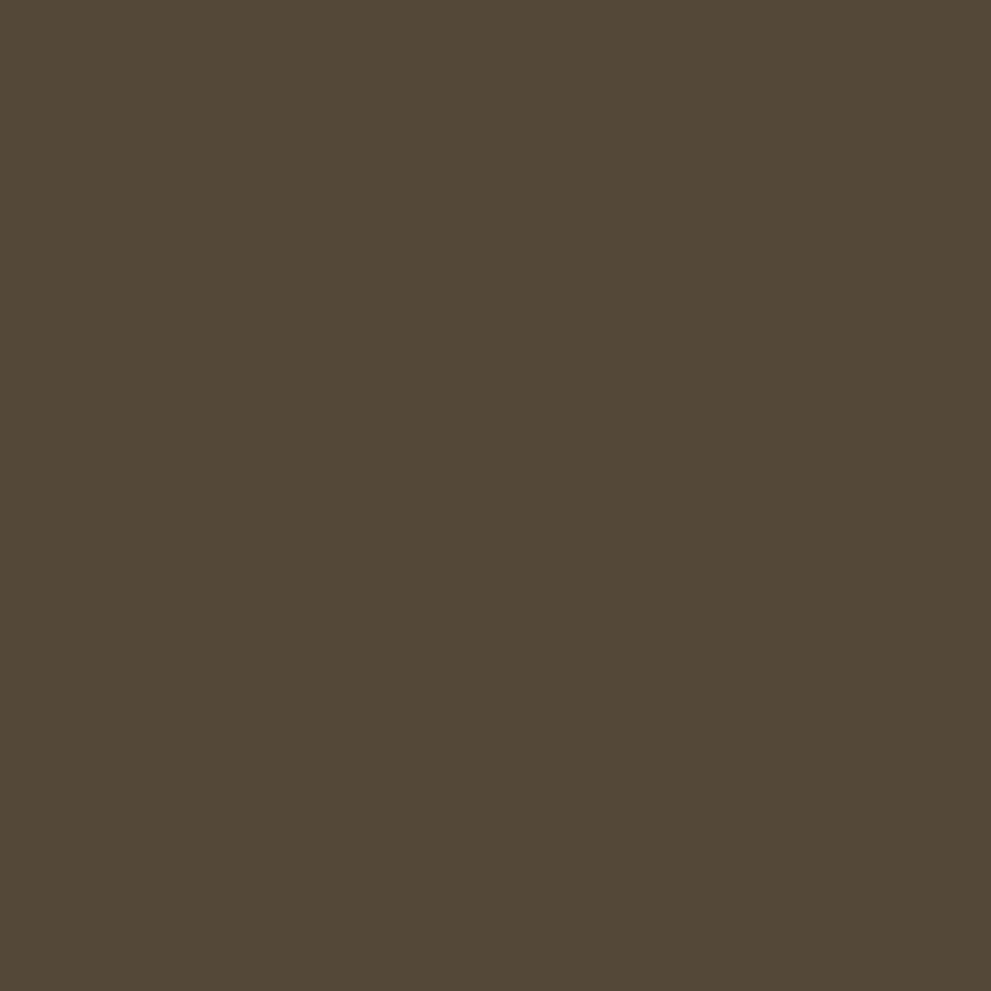 otter brown paint color
