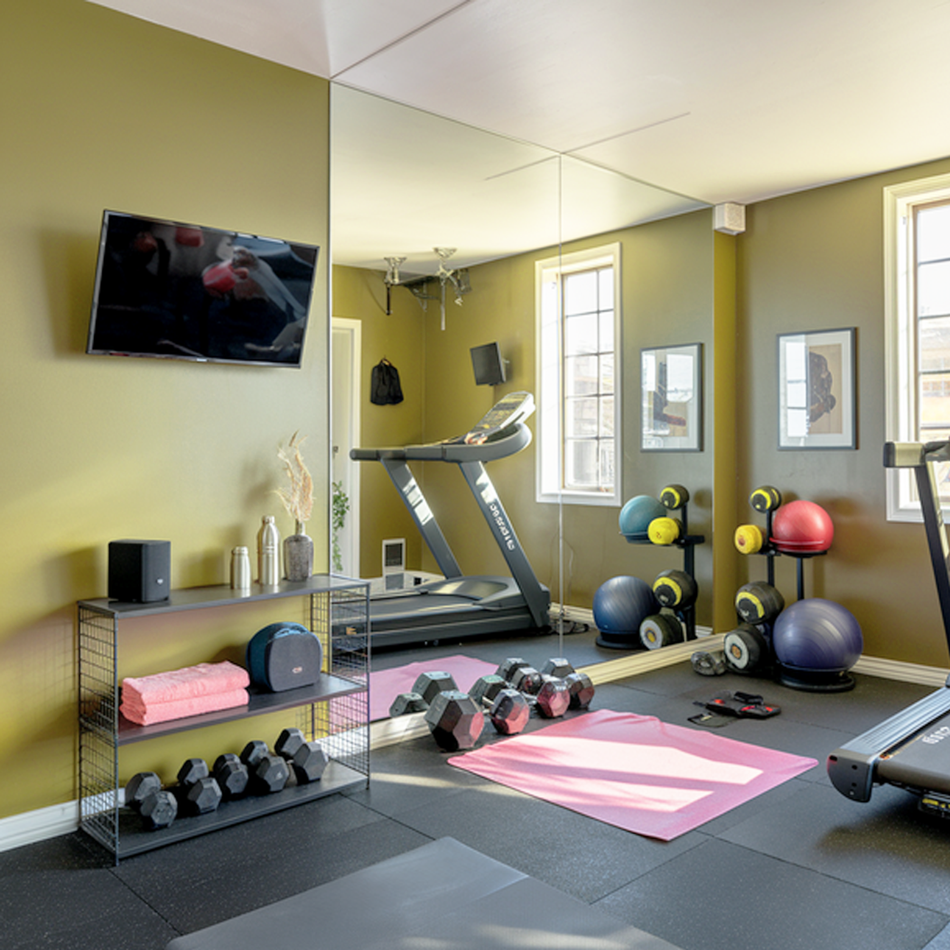 parrot green painted gym