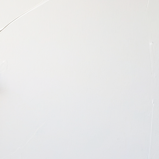 Paint Primer Interior/Exterior