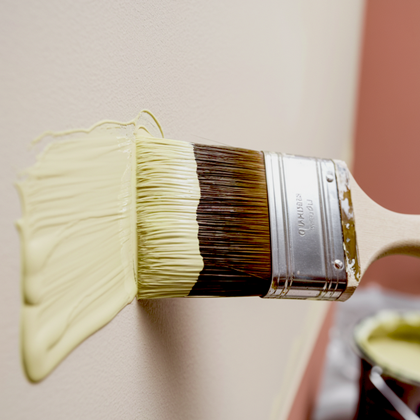 sesame painted brush