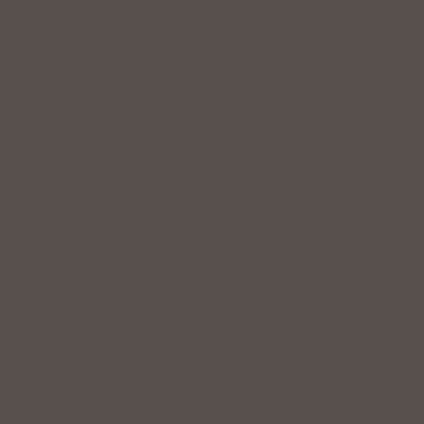 silhouette paint color