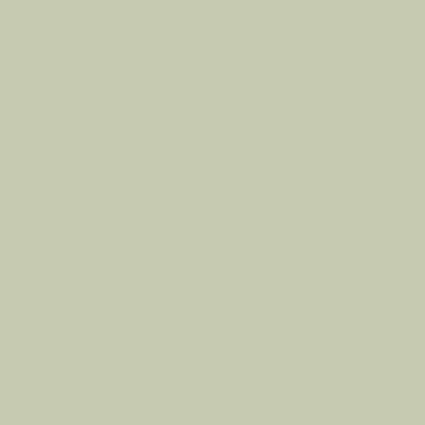 soft fern paint color