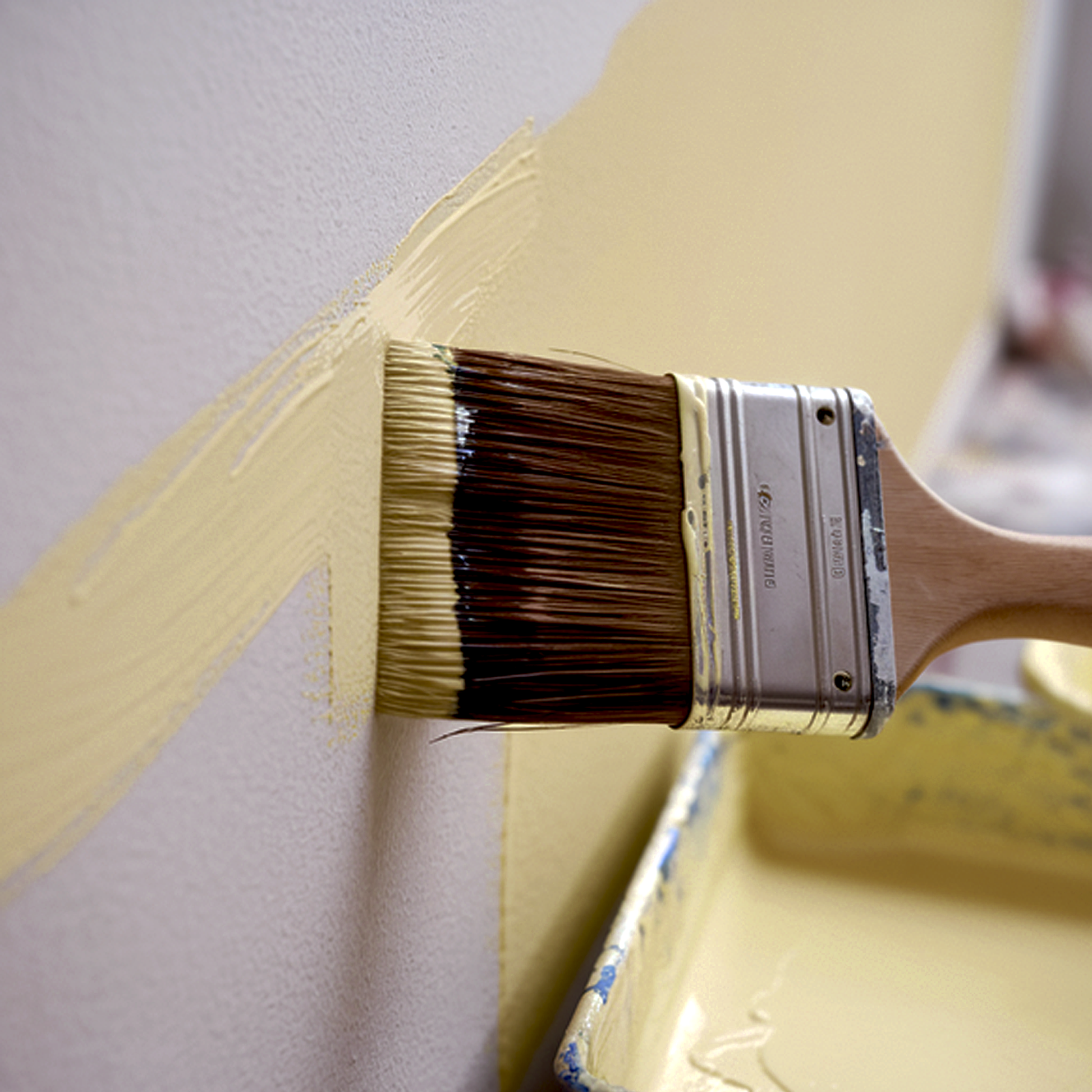 timothy straw paint brush