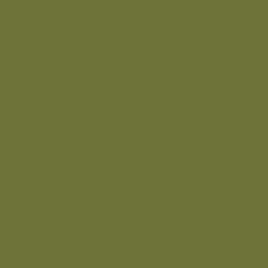 timson green paint color