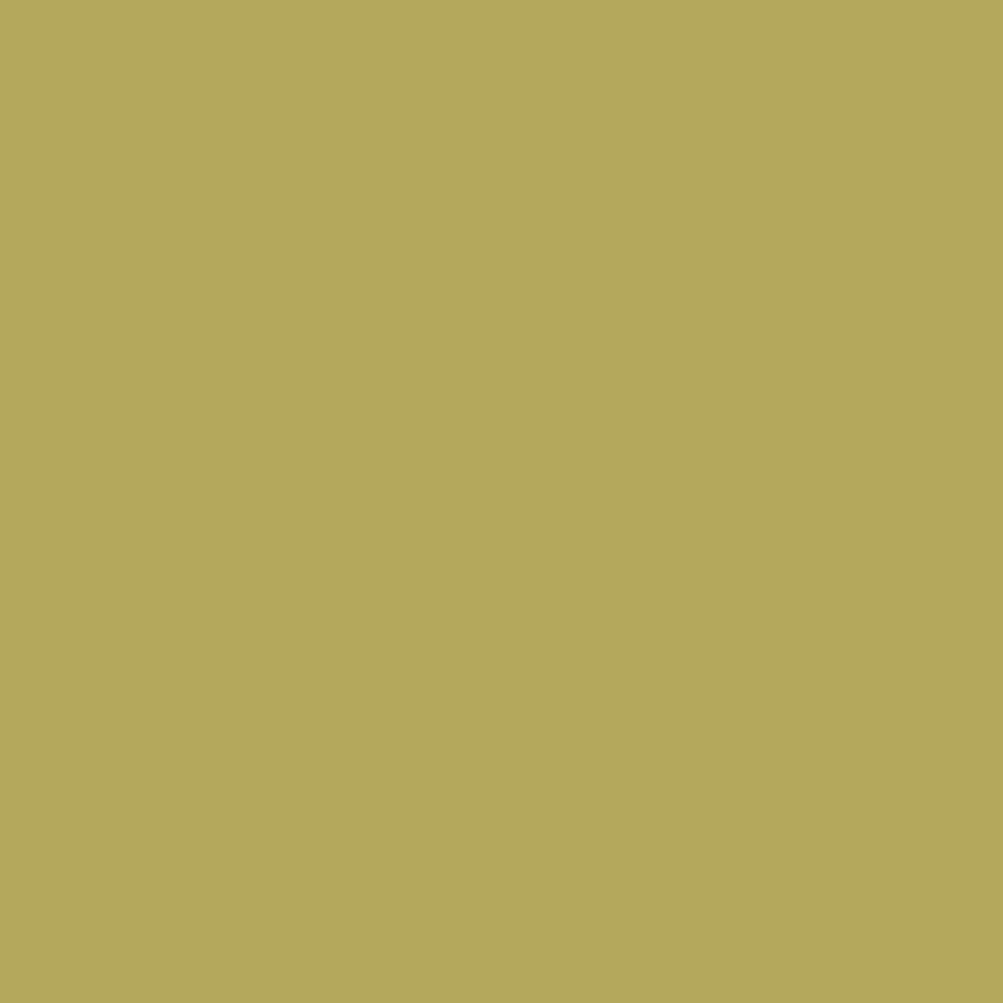 wasabi paint color