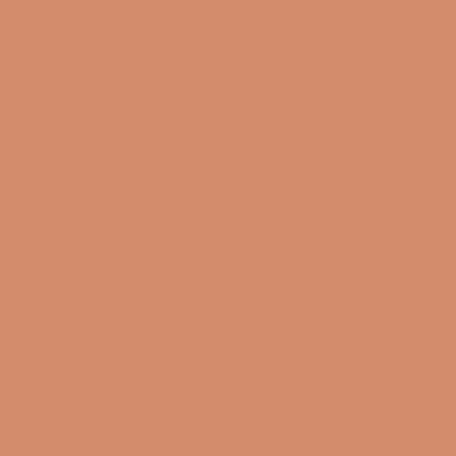 adobe dust paint color