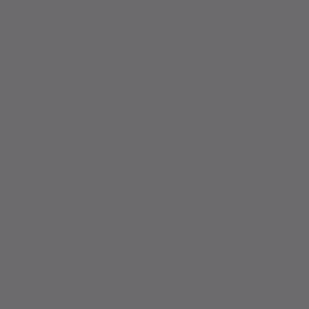arctic seal paint color