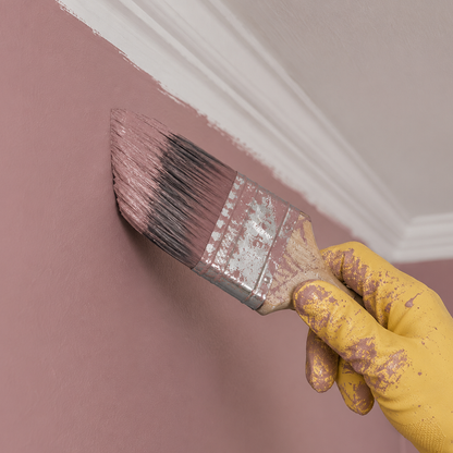 barberry paint brush