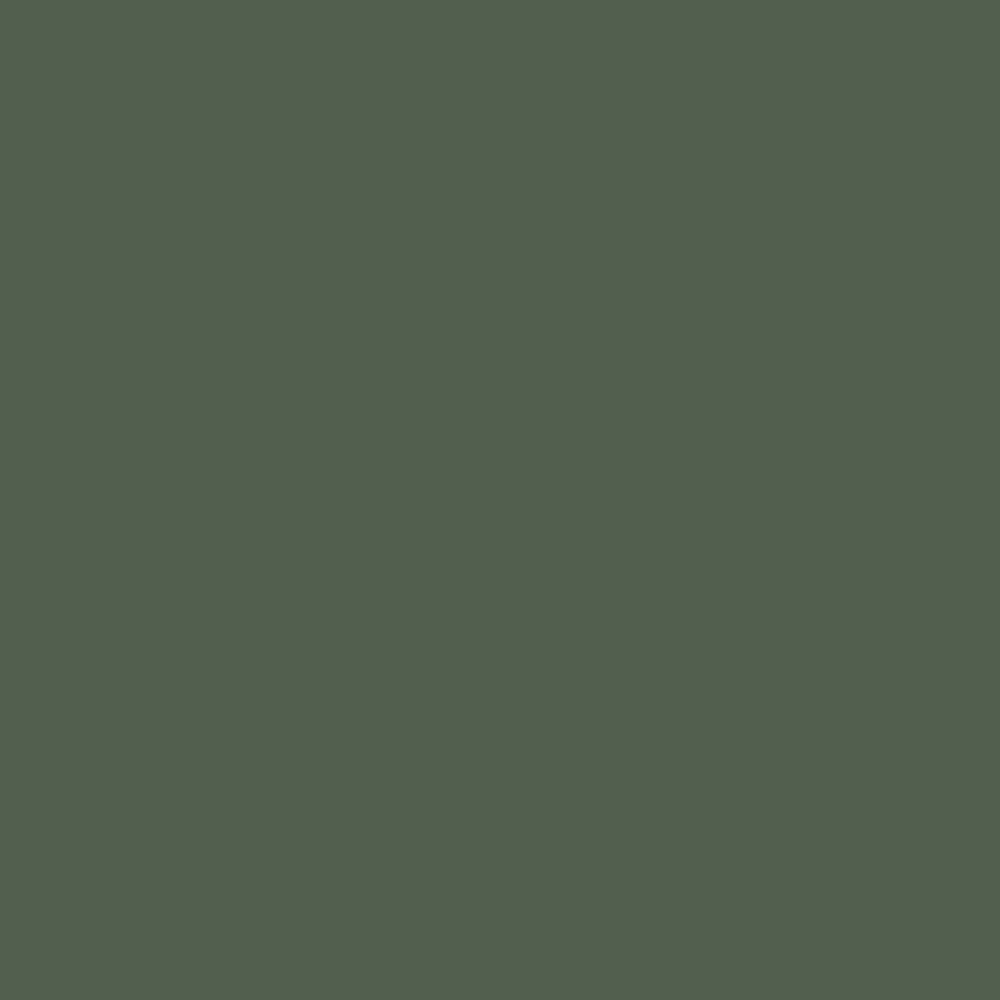 boreal forest paint color