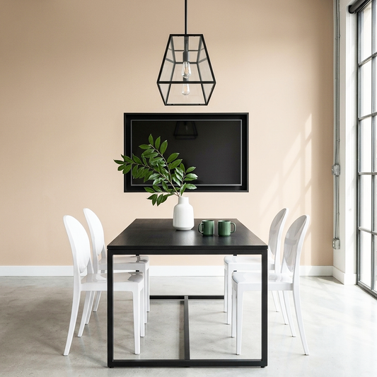 boudoir painted dinning room