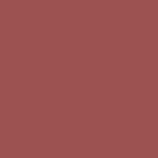 bricktone red paint color