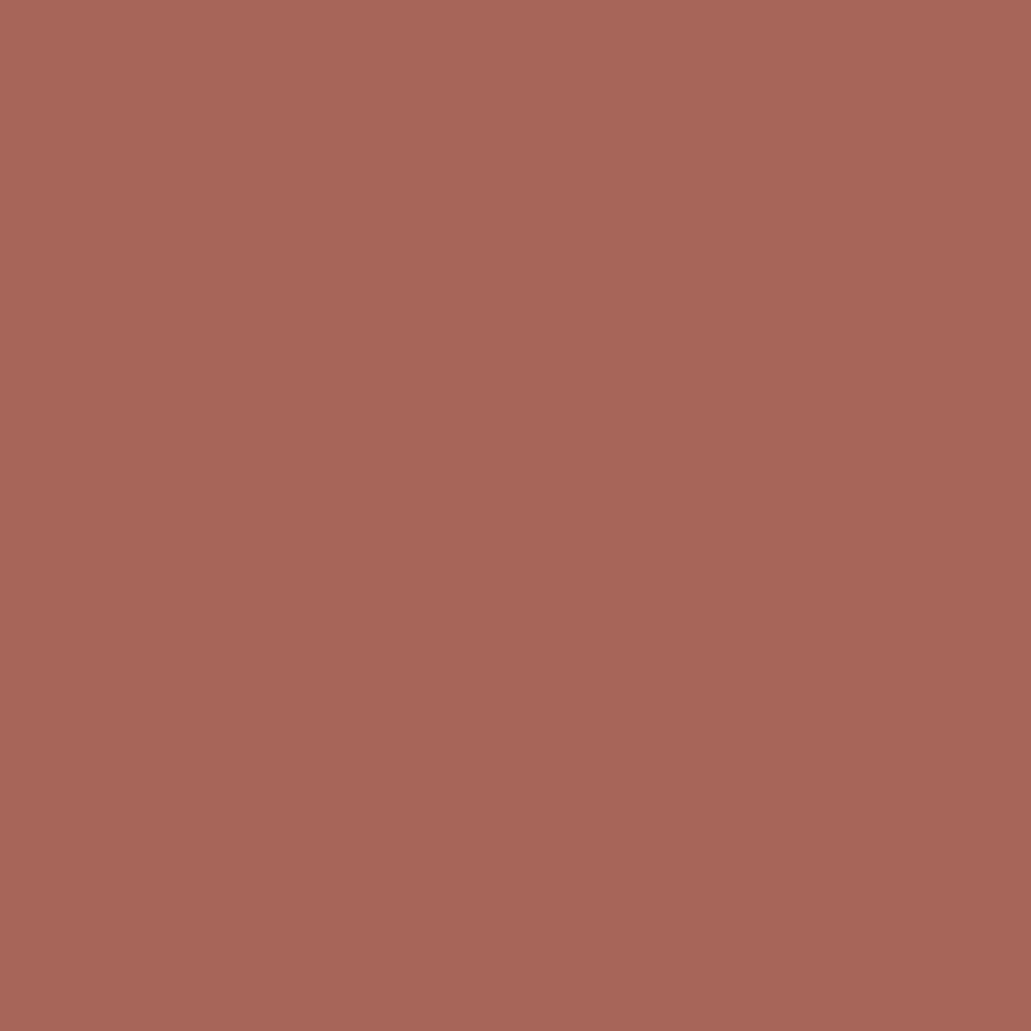 brickyard clay paint color