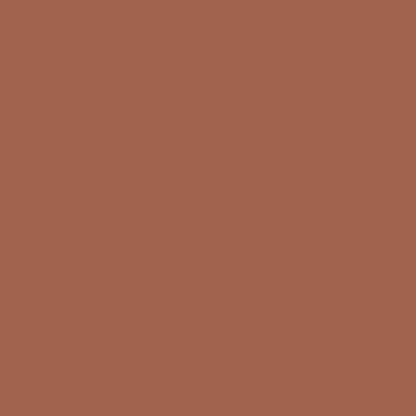 burnt sienna paint color