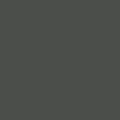deep river paint color