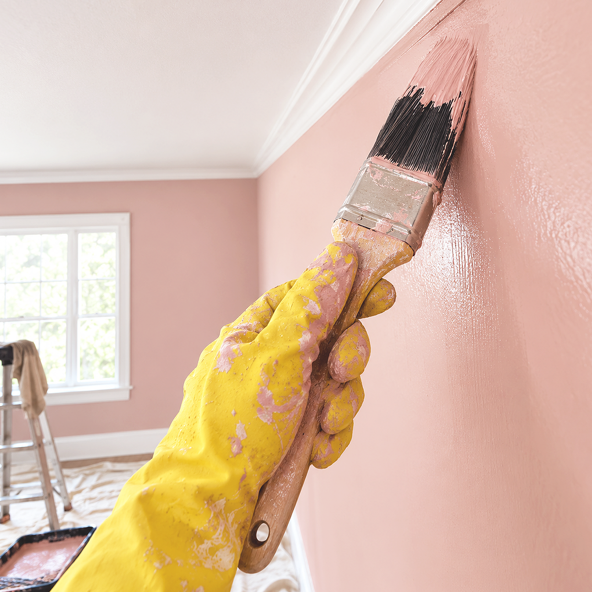 desert rose paint brush