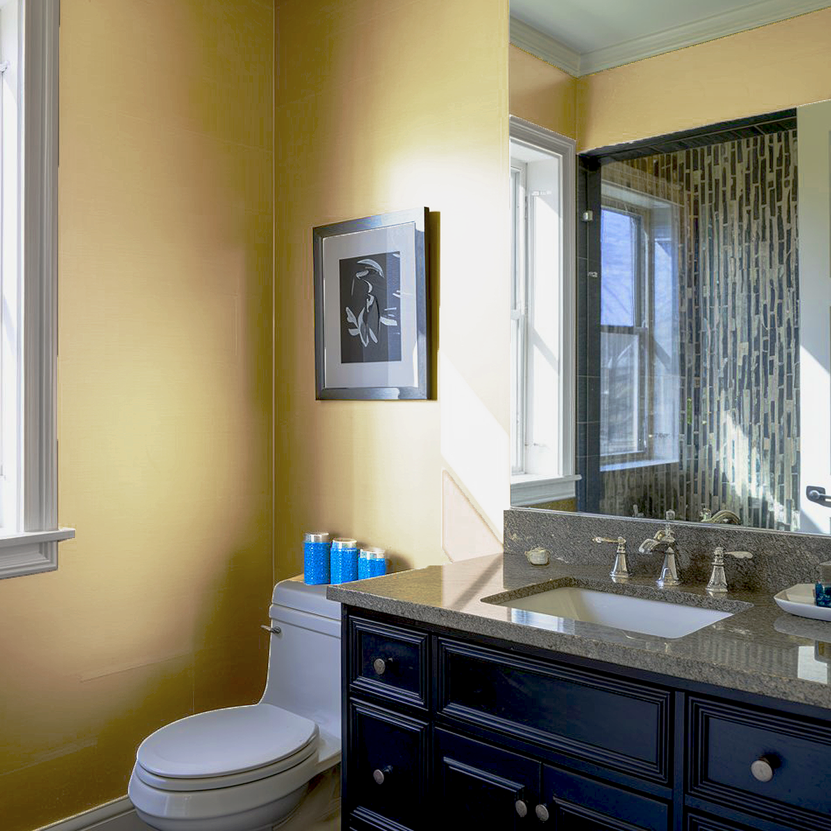 dijon painted bathroom
