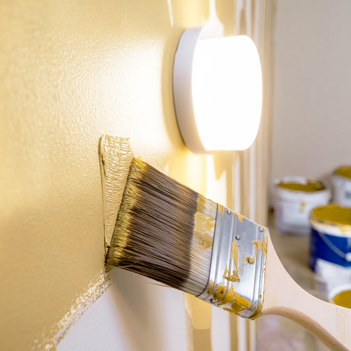 dijon paint brush