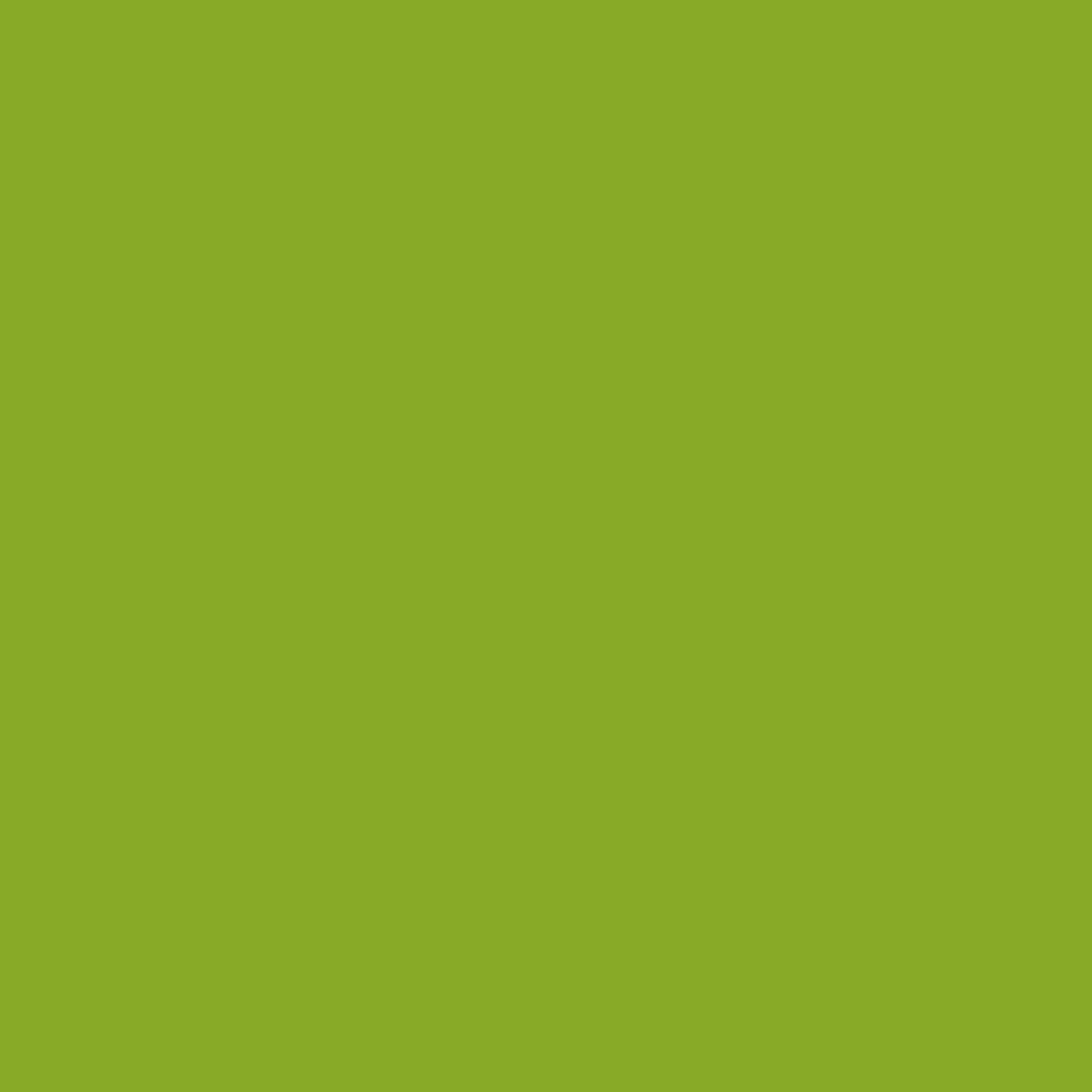 douglas fir paint color