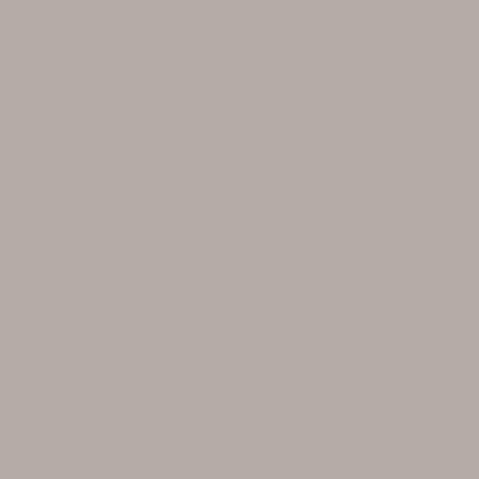 elephant gray paint color