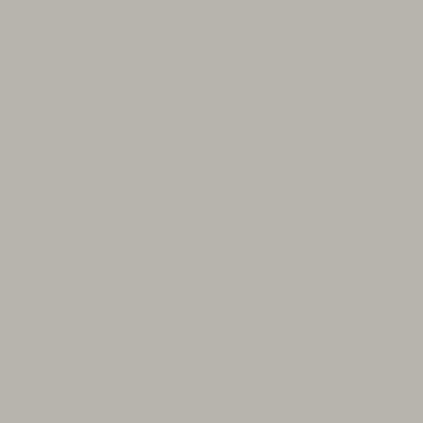 gray huskie paint color