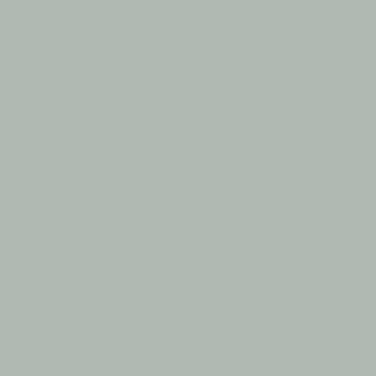 imperial gray paint color
