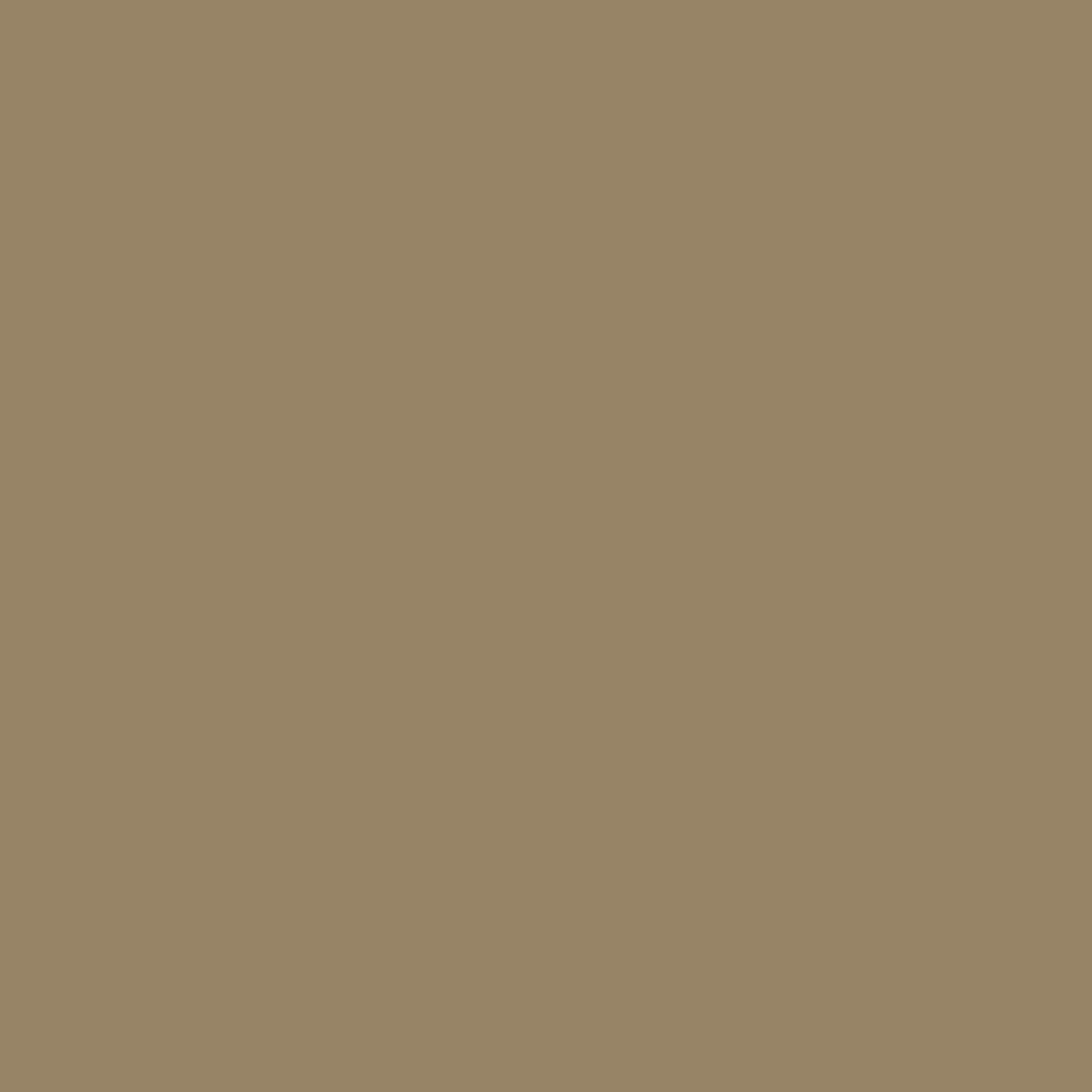 jamesboro gold paint color