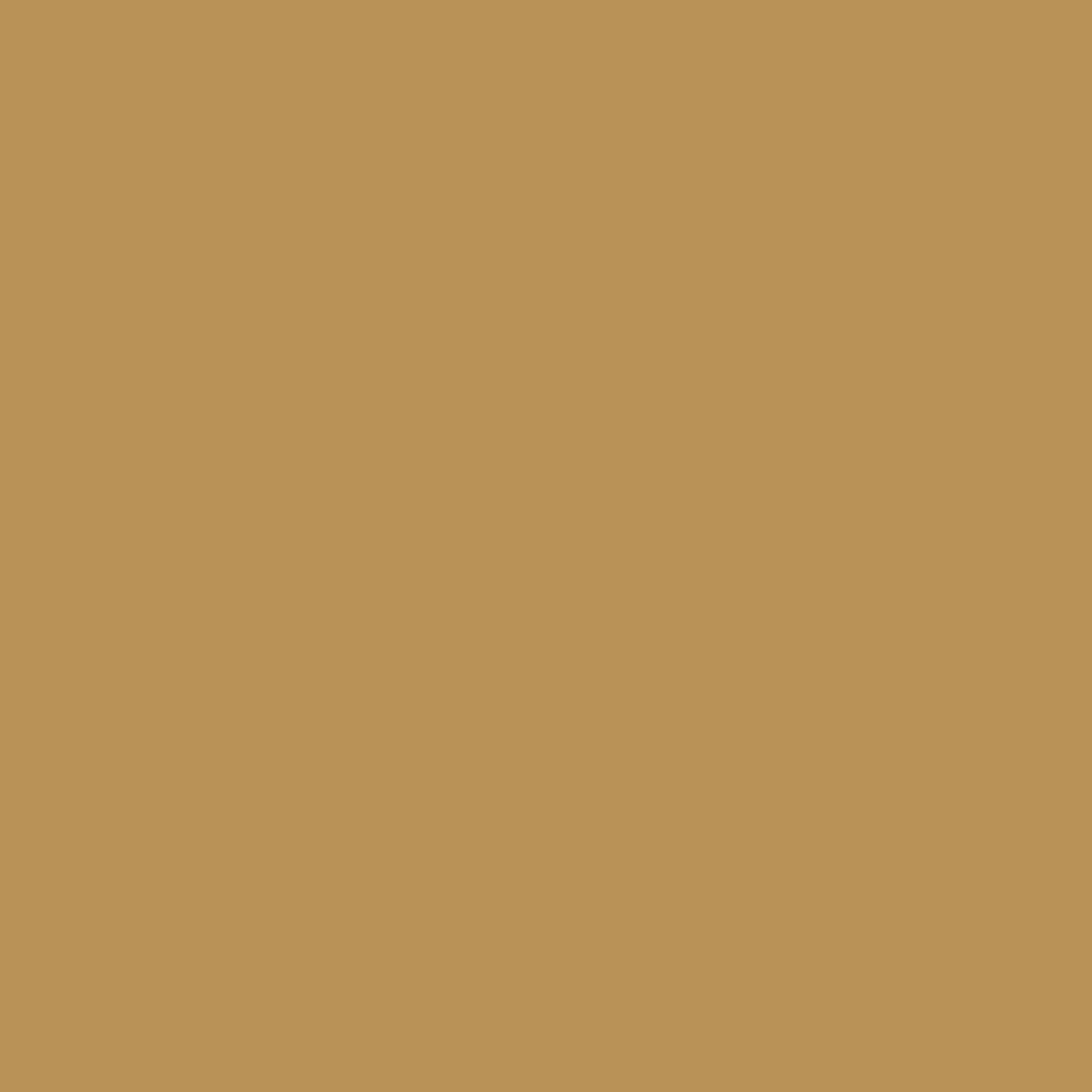 kurkuma paint color