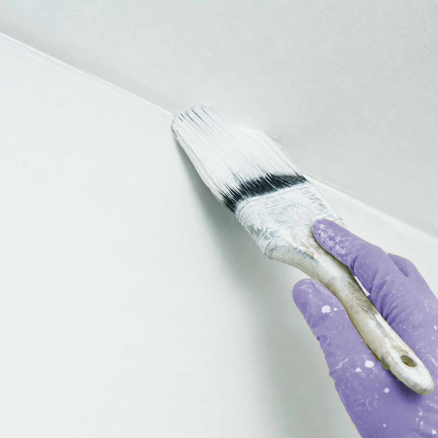 lily white paint brush