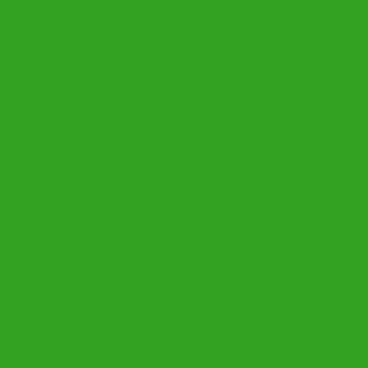 lizard green paint color