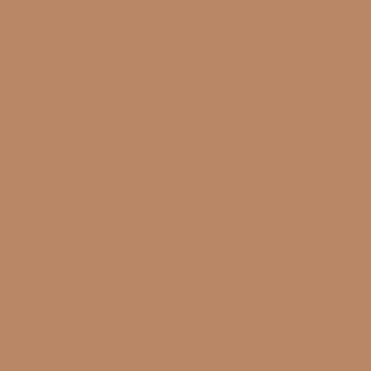 potters clay paint color