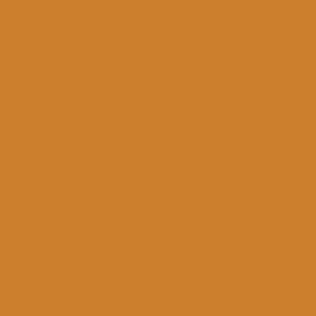 pumpkin blush paint color