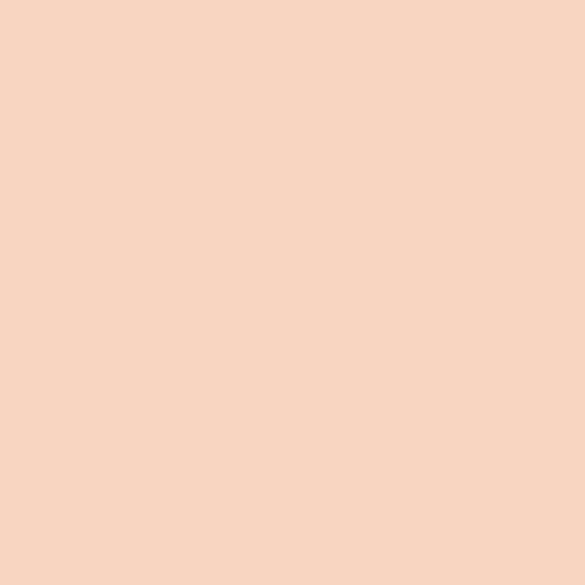 pumpkin mousse paint color