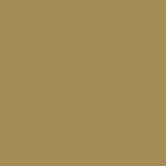 seville tan paint color