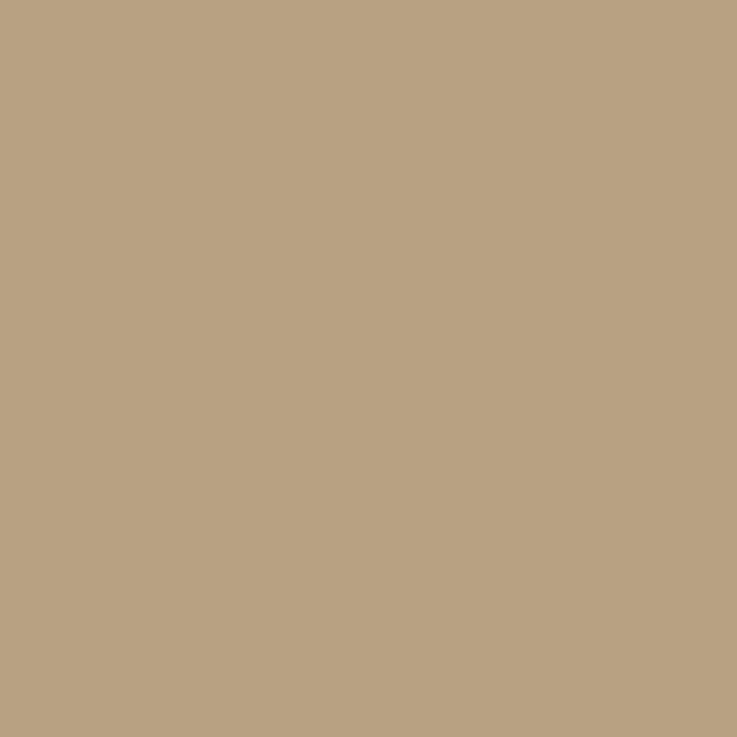 sherwood tan paint color