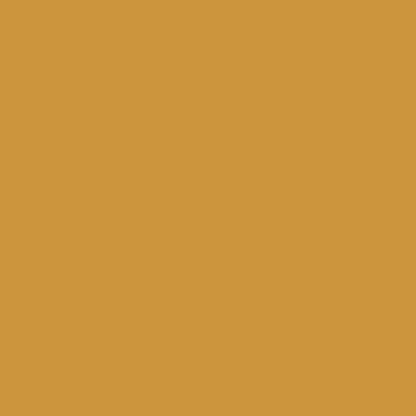 spicy mustard paint color