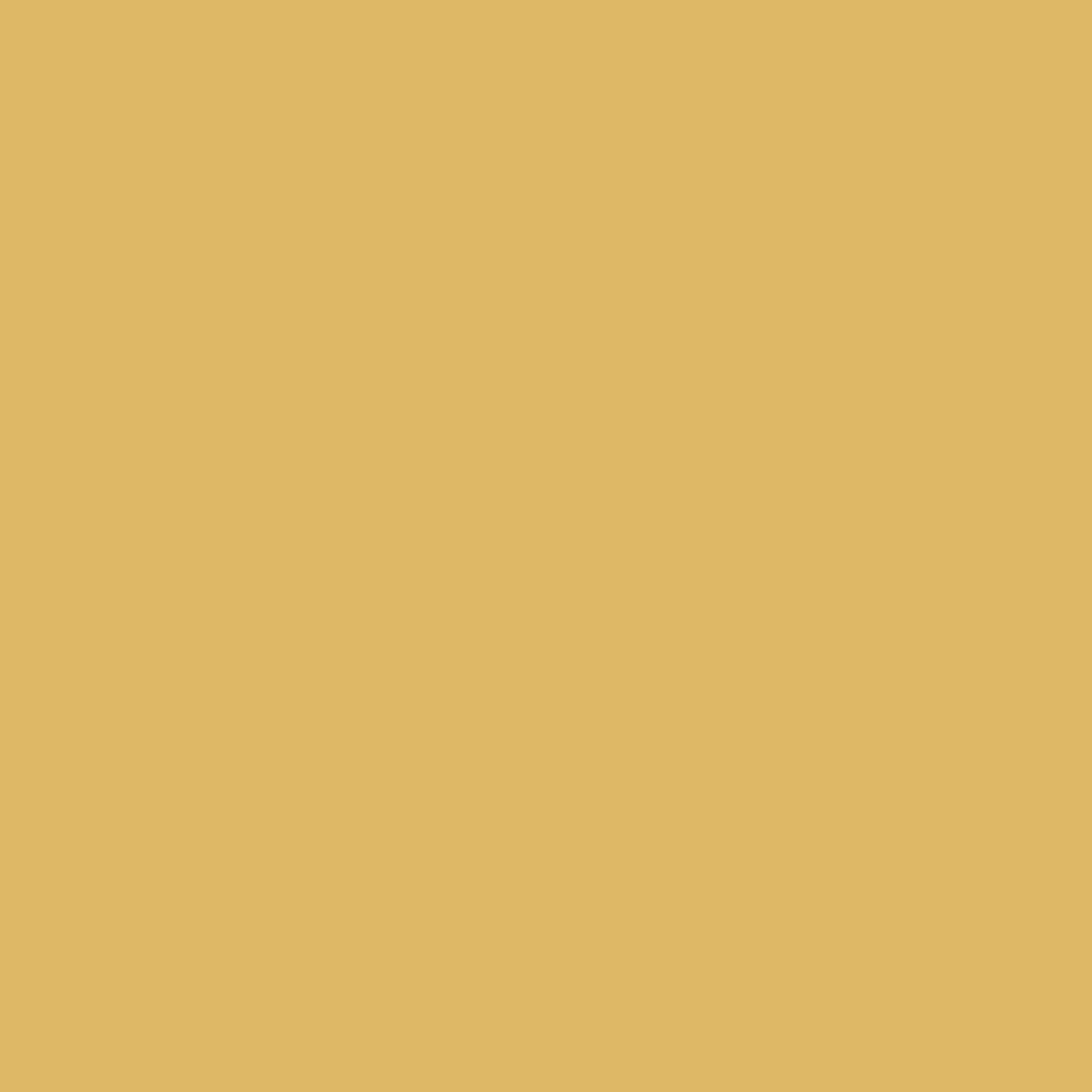stuart gold paint color