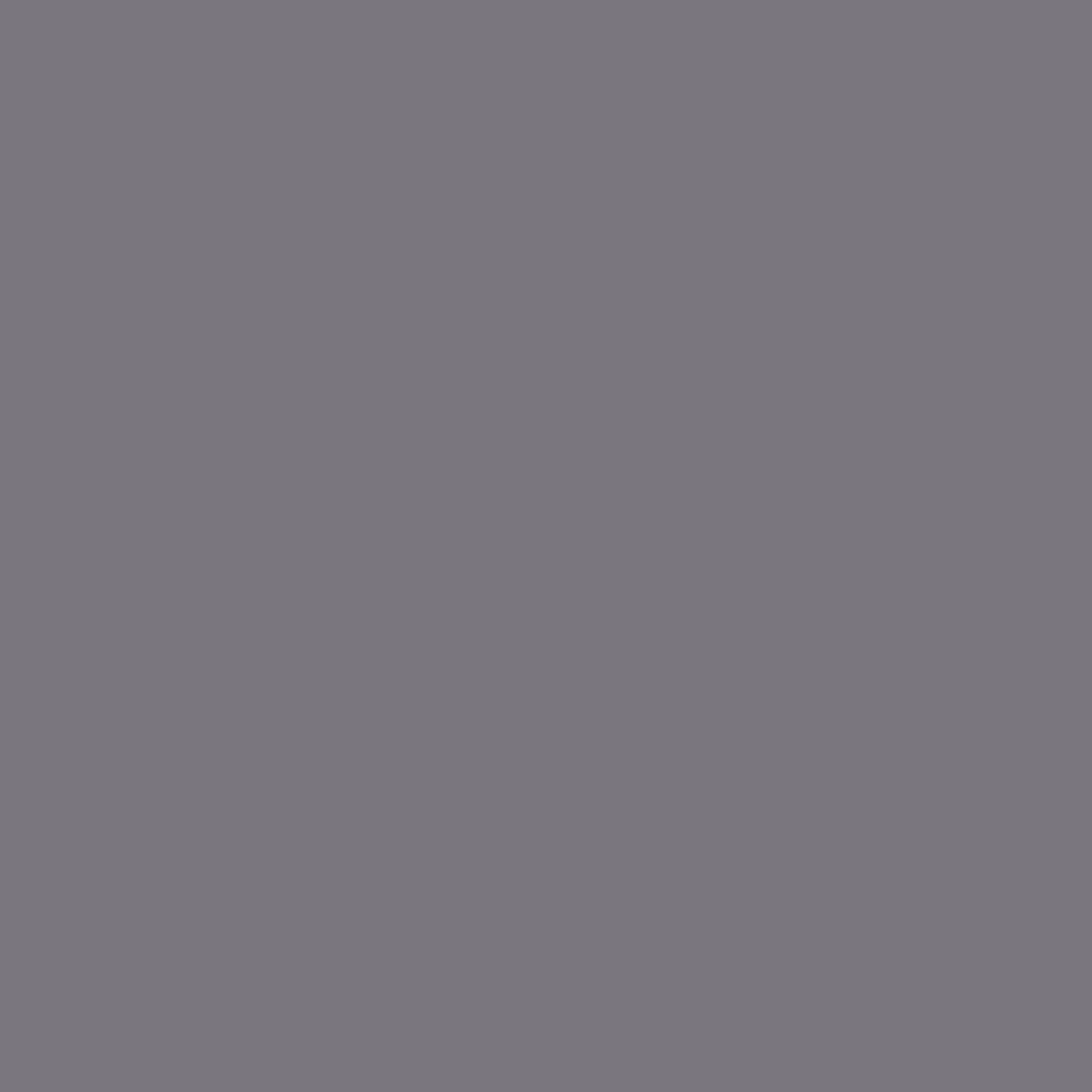 tempest paint color