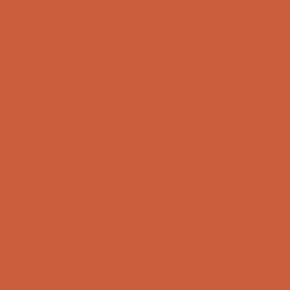 tropical orange paint color