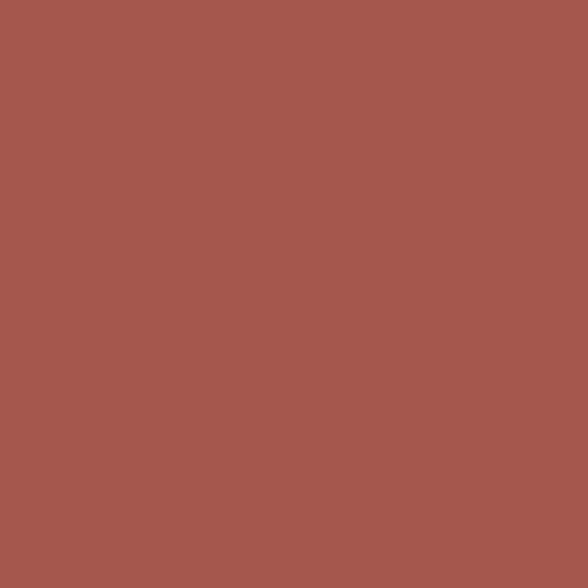 warm sienna paint color