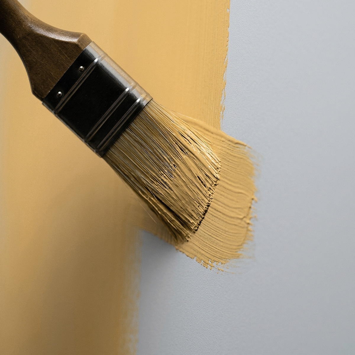 york harbor yellow paint brush